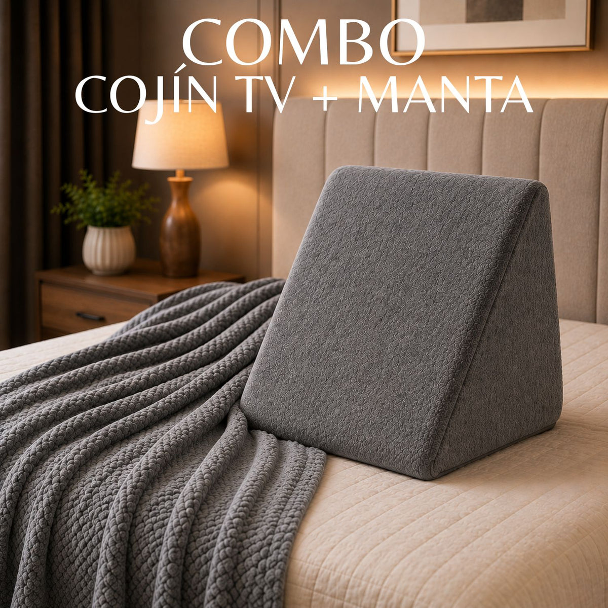 Combo Cojin Tv + Cobija