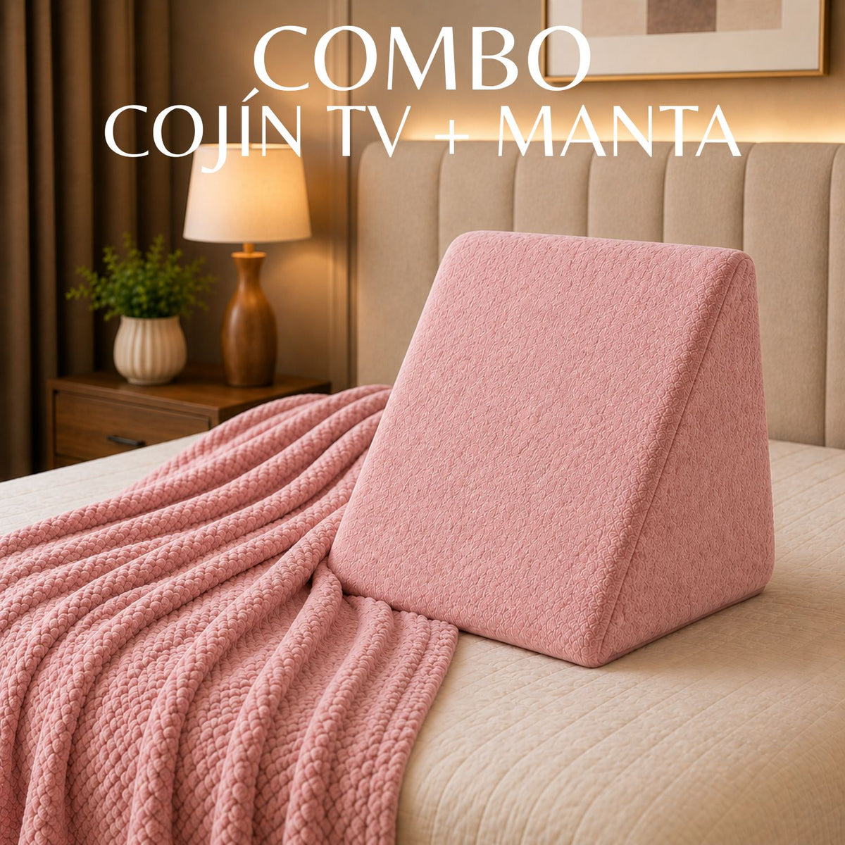 Combo Cojin Tv + Cobija
