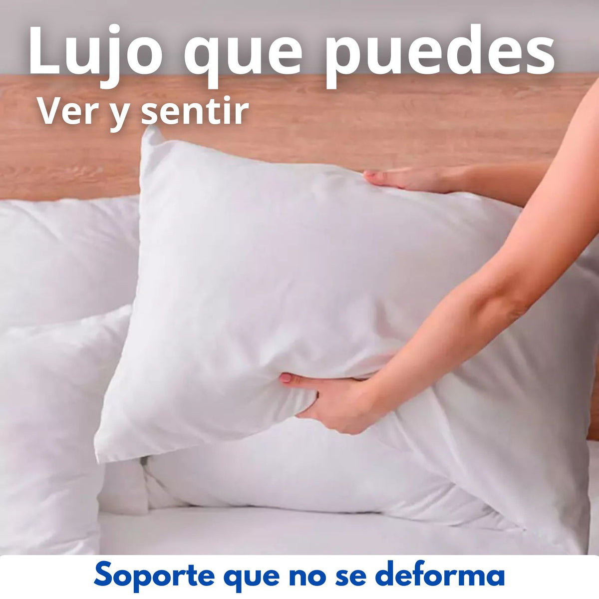 Almohada Siliconada Con Protector Almohada Set x 2