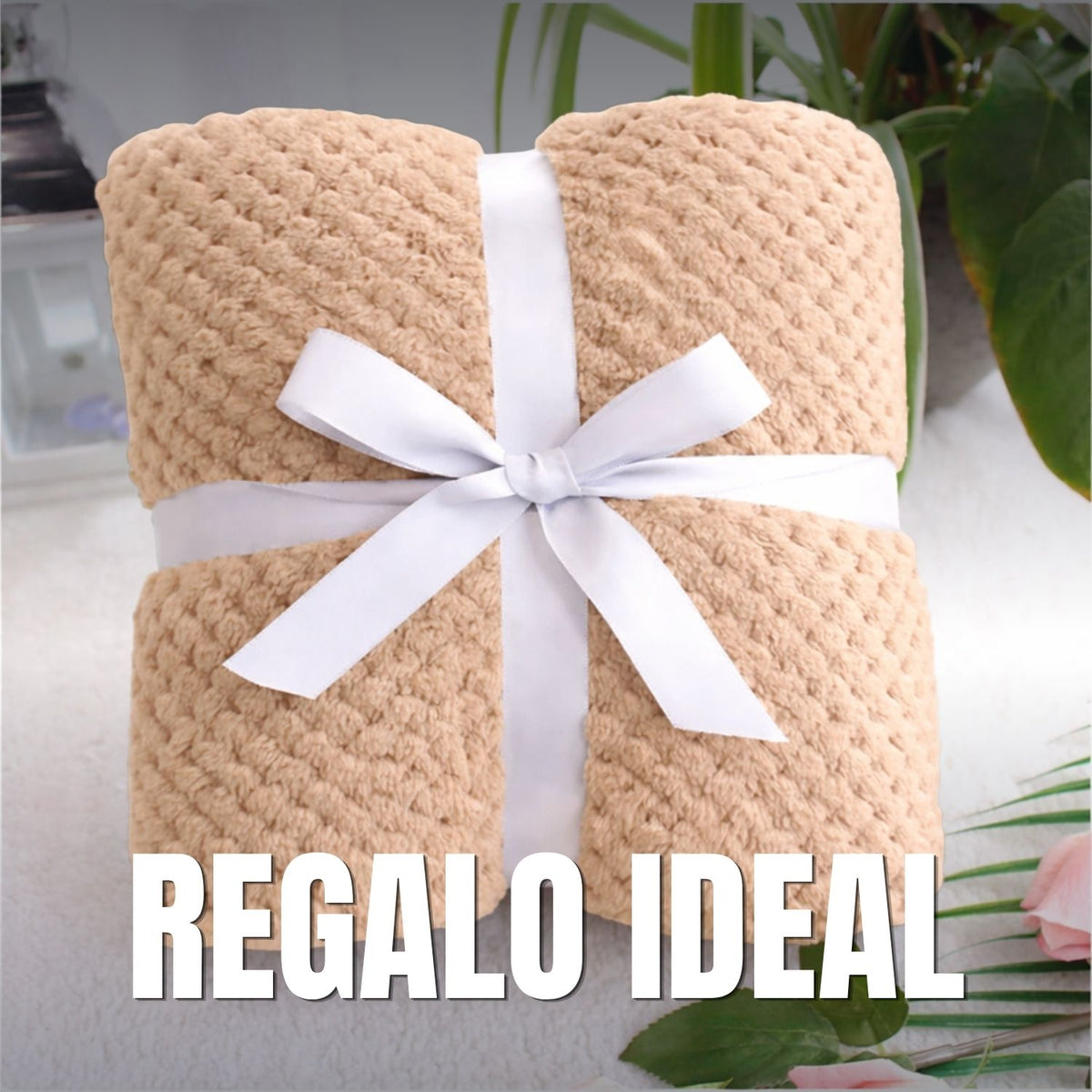 Cobija Manta