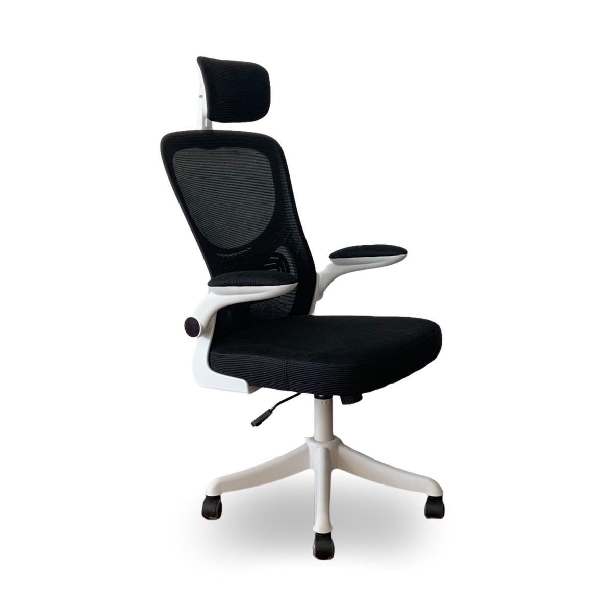 Silla Andes