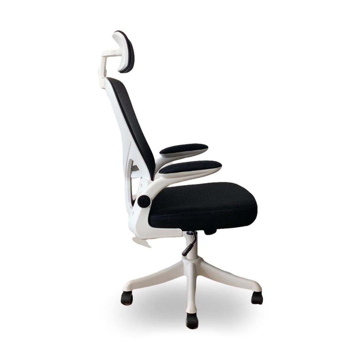 Silla Andes