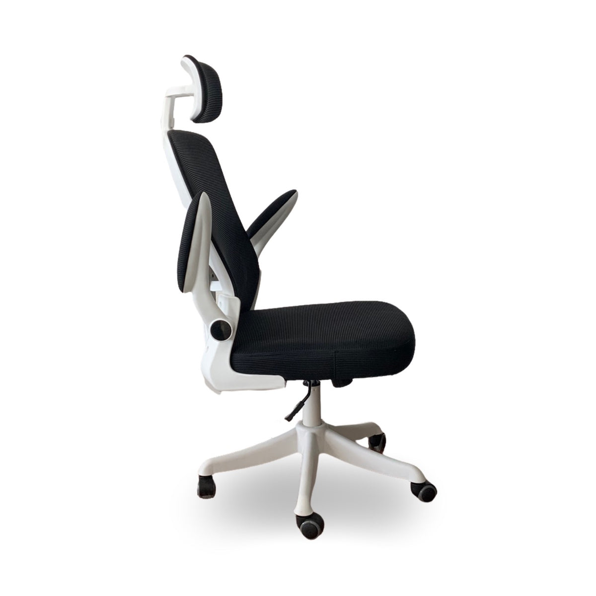 Silla Andes