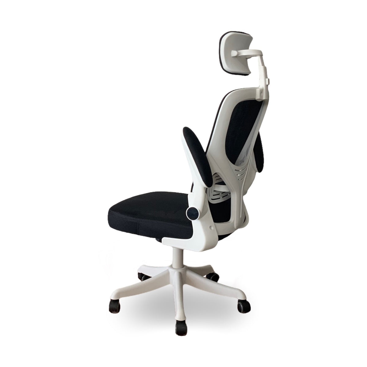 Silla Andes