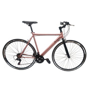 Bicicleta fix urbana rin 700 con cambios shimano 21 vel