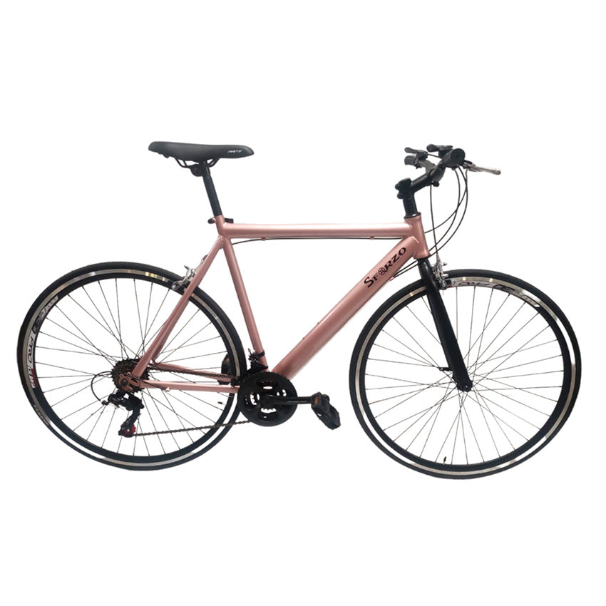 Bicicleta Fix urbana Rin 700 Con Cambios Shimano 21 Vel