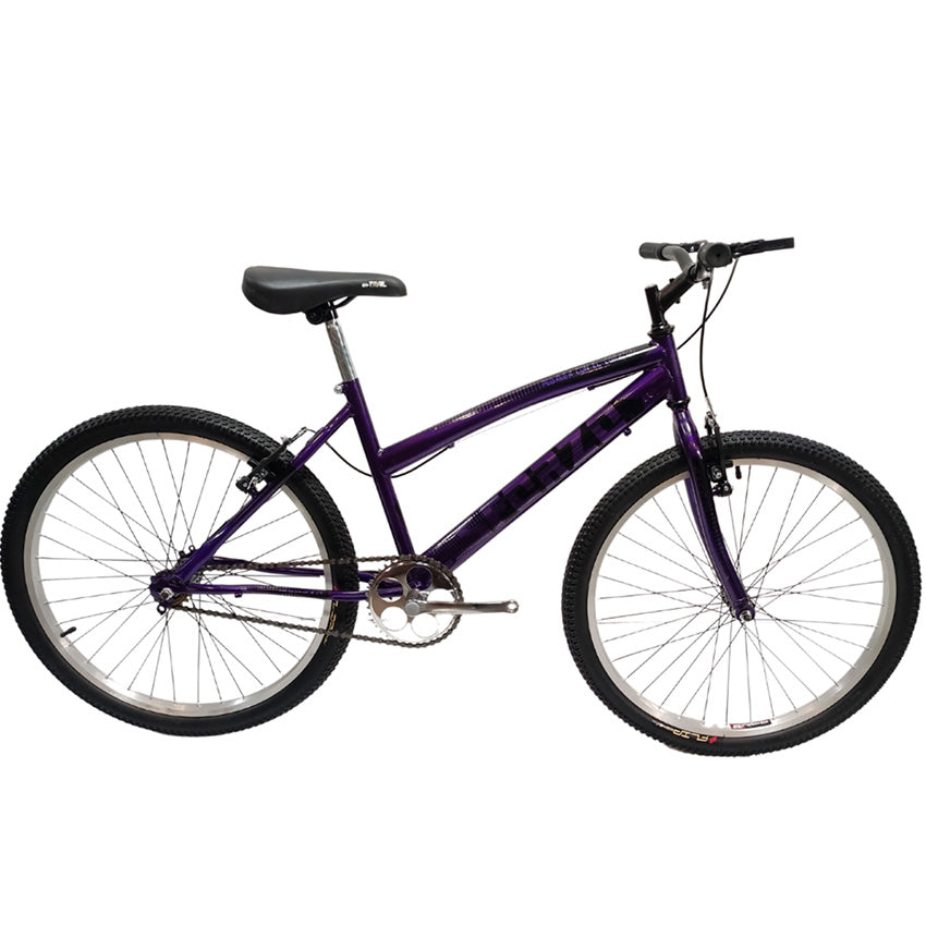 Bicicleta Niña Sforzo Rin 24 Sin Cambios