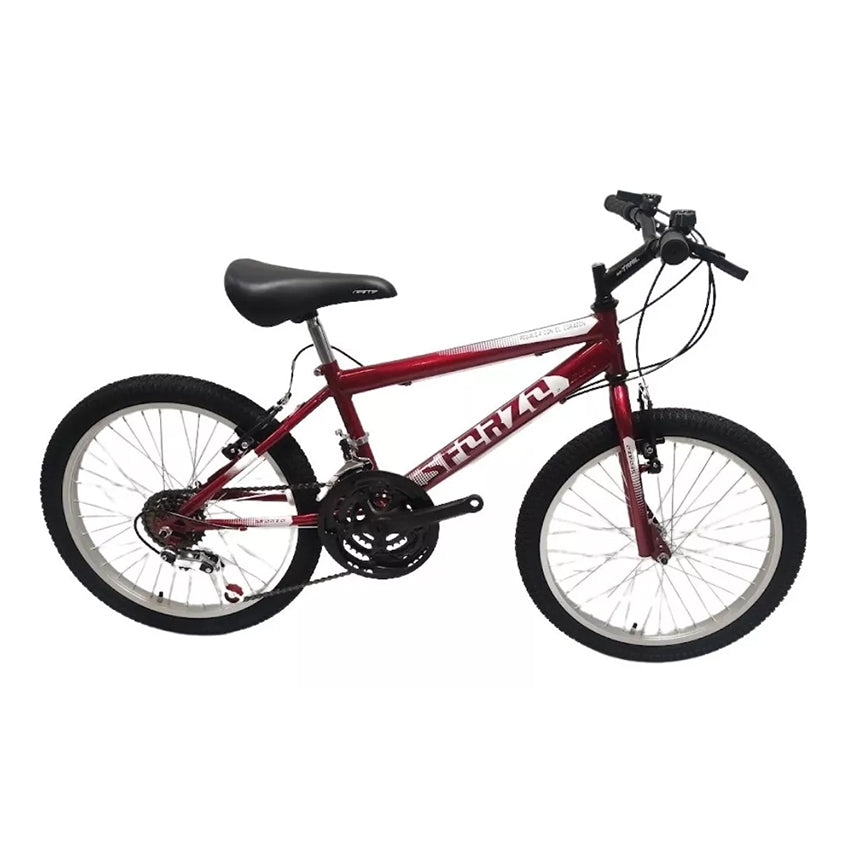 Bicicleta sforzo ninos rin 20 x 2 sin cambios