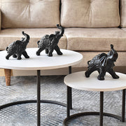 Familia de elefantes trompa larga color