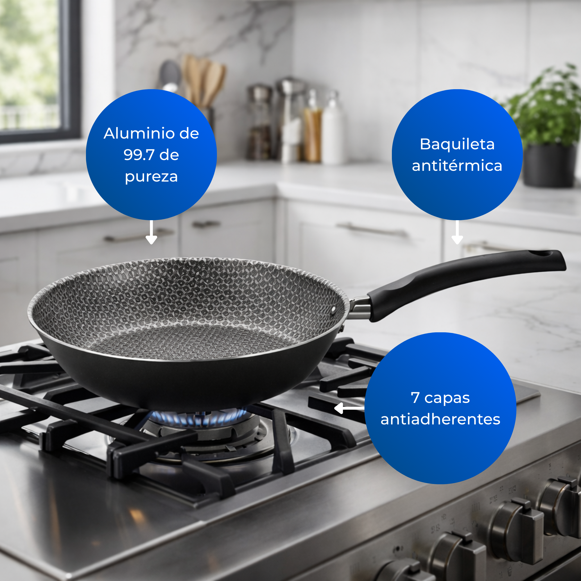 Sartén Basic 24cm Gris