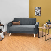 Sofa 2 puestos baru tela gris