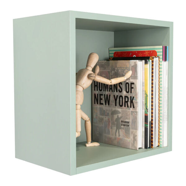 Repisa veta, agave, con espacio para objetos decorativos